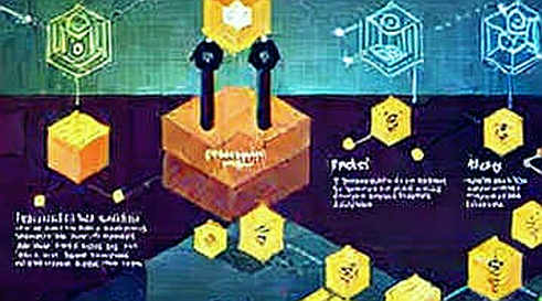 The Null Report: When a Crypto Project’s Due Diligence Returns Only Empty Fields